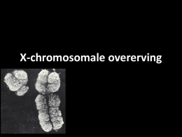 Les 4 - X-chromosomale overerving