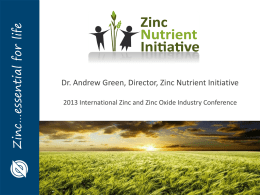 Presentation by Dr. Andrew Green, Director, Zinc