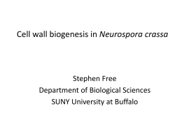 Dr. Steve Free - Department of Biological Sciences