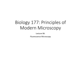 Lect06_Bi177_Fluorescence