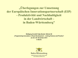 Konzept zur Umsetzung von EIP in Baden-Württemberg