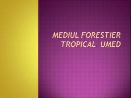 Mediul forestier tropical umed - clasa-a-11-adg