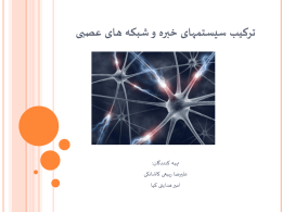 ترکیب سیستمهای خبره و شبکه های عصبی
