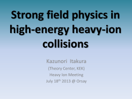 Strong magnetic fields in HICs
