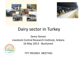Dairy sector in Turkey - Rednex EU FP7 Project