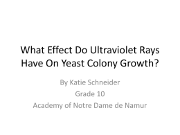 What Effect Do Ultraviolet Rays Have On Yeast Colony Growth?