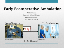 File - Pricilla Puente`s Nursing Portfolio