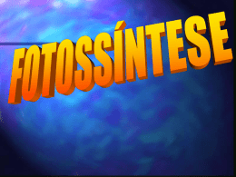 fotossintese - Gene Vestibulares