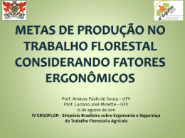 Amaury Paulo de Souza - Simposio Brasileiro sobre Ergonomia e