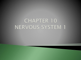 CHAPTER10B