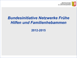 Bundesinitiative Netzwerke Frühe Hilfen und Familienhebammen