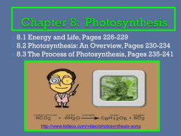 Chapter 8 Photosynthesis-Teacher Notes