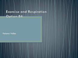 Exercise and Respiration Paloma