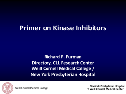 Primer on Kinase Inhibitors