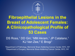 Fibroepithelial Lesions in the Breast of Adolescent Females: A