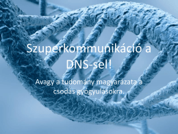 Szuperkommunikáció a DNS-sel!