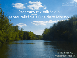 Revitalizácia alúvia rieky Moravy