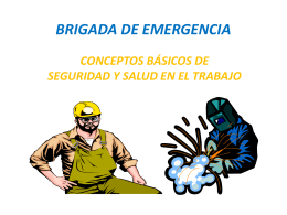 BRIGADA DE EMERGENCIA TRABAJO EN ALTURAS