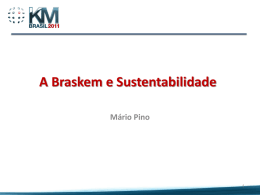 A Braskem e sustentabilidade - Mario Pino
