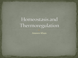 Homeostasis and Thermoregulation