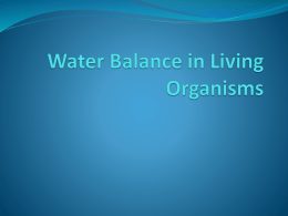 Water Balance in Living Organisms