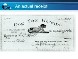 Chapter 16 - Rollovers