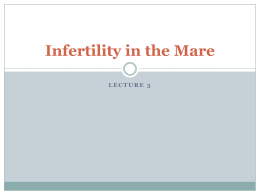 Lecture 5 - Infertility in the Mare