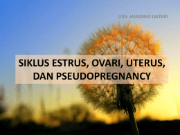 3.siklus estrus, ovari, uterus, dan