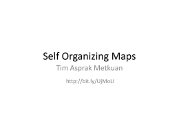 LKP-12-Self-Organizing-Maps