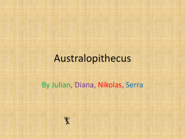 Australopithecus-by-Julian-Diana-Nikolas