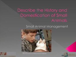 01A History of Small Animals PPT