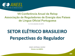 Setor Elétrico Brasileiro: Perspetivas do Regulador