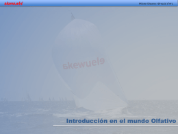 Presentaci&oacute;n de PowerPoint