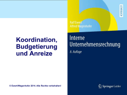 Koordination, Budgetierung und Anreize