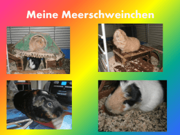 - Weiherhofer Tierfreund