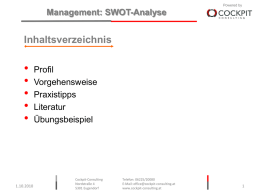 Management: SWOT-Analyse - cockpit