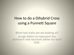 How to do a Dihybrid Cross using a Punnett Square