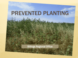 Prevented Planting PowerPoint