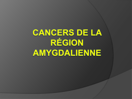 Cancers de la région amygdalienne Plan du cours