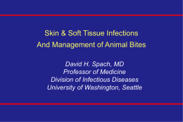 Soft Tissue Infections - What`s New in Medicine