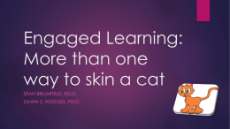 Engaged Learning: More than one way to skin a cat