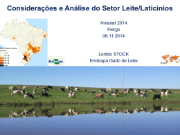 Lorildo Stock - Avisulat 2014 - IV Congresso Sul Brasileiro de