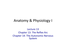 powerpoint lecture