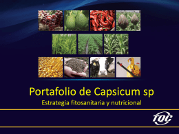 portafolio_ppt_capsicum