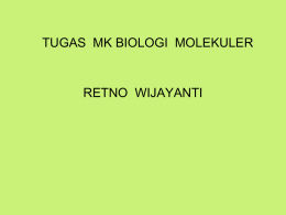 PPT