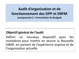 Audit d*organisation et de fonctionnement des DPP et DRFM