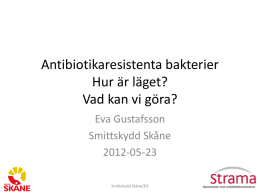 Eva Gustafsson