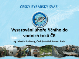 Vysazování úhoře říčního do vodních toků ČR