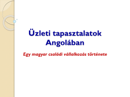 Egy magyar vállalat Angolában