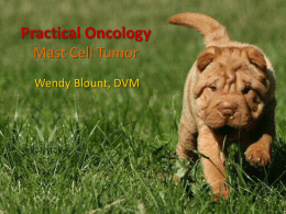 PowerPoint - Mast Cell Tumor